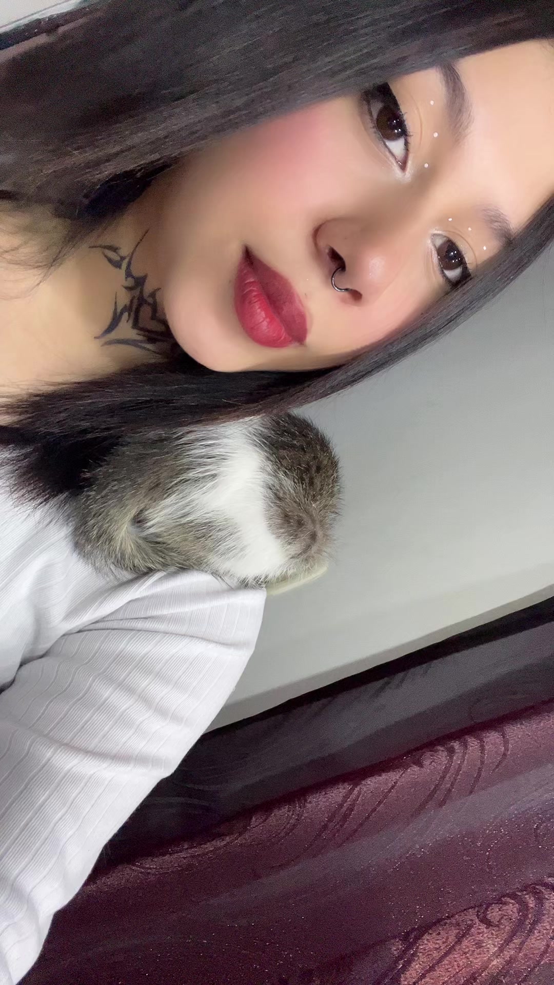 @xiomi:3