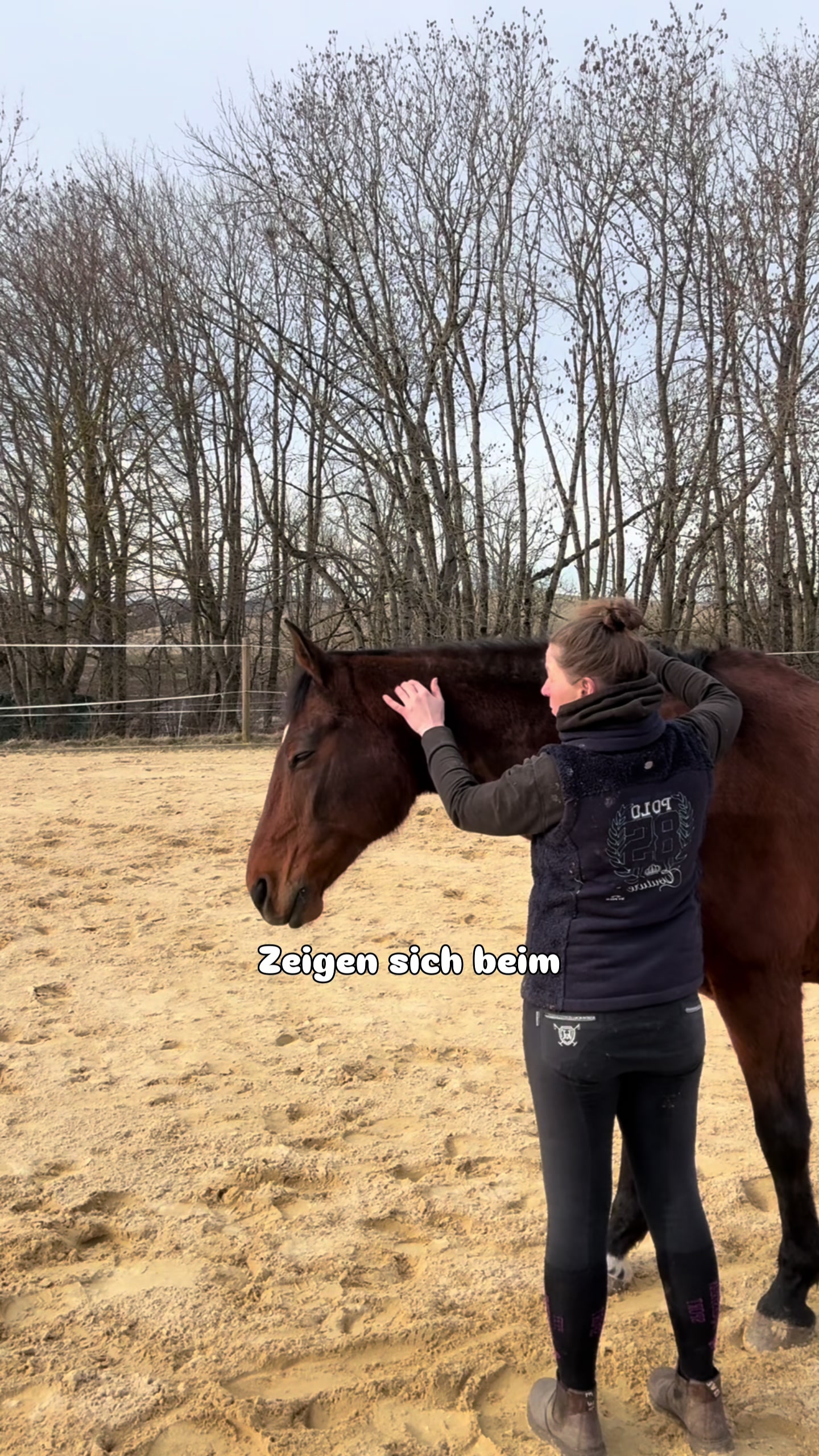 @equine_body_in_balance