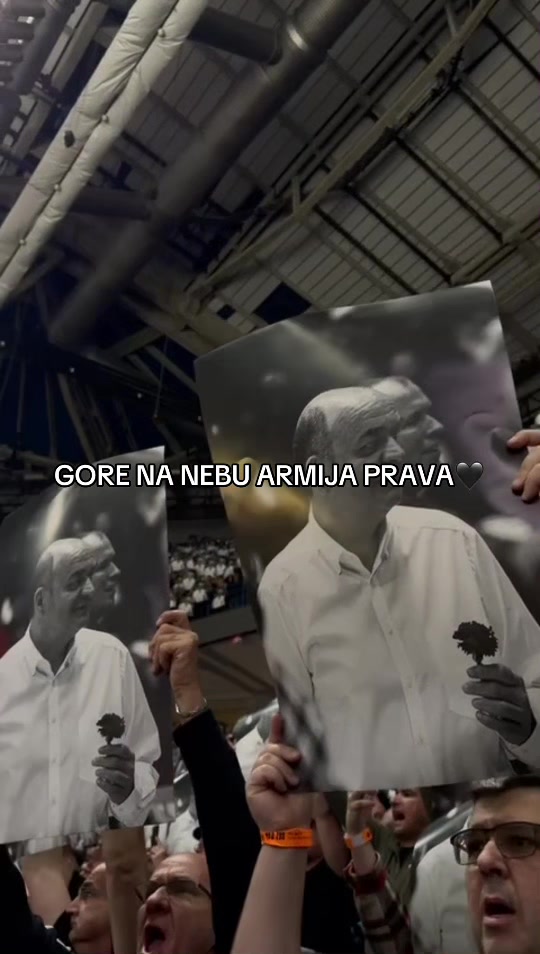 @aleksovn