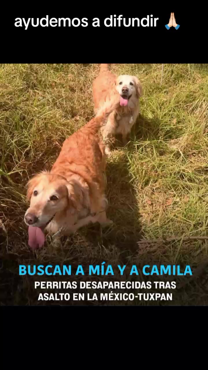 @varcan❤️