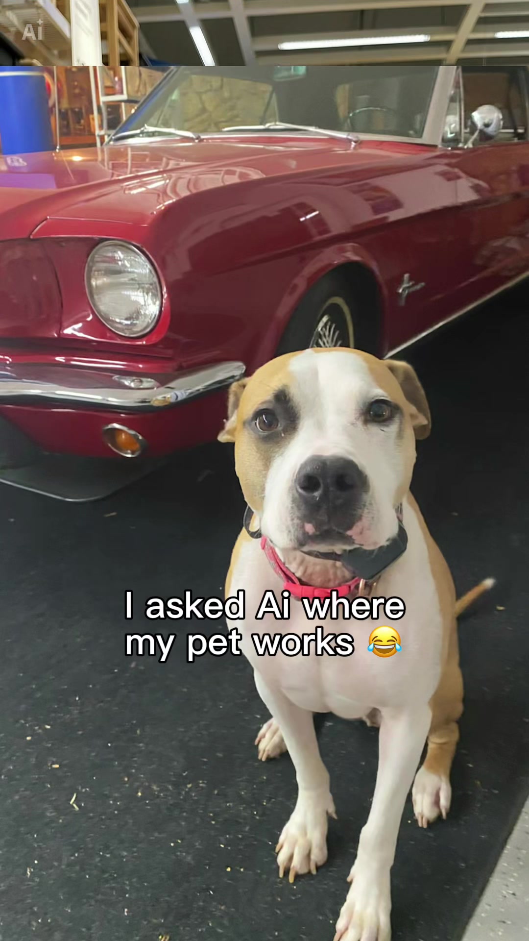 @Chance and Co