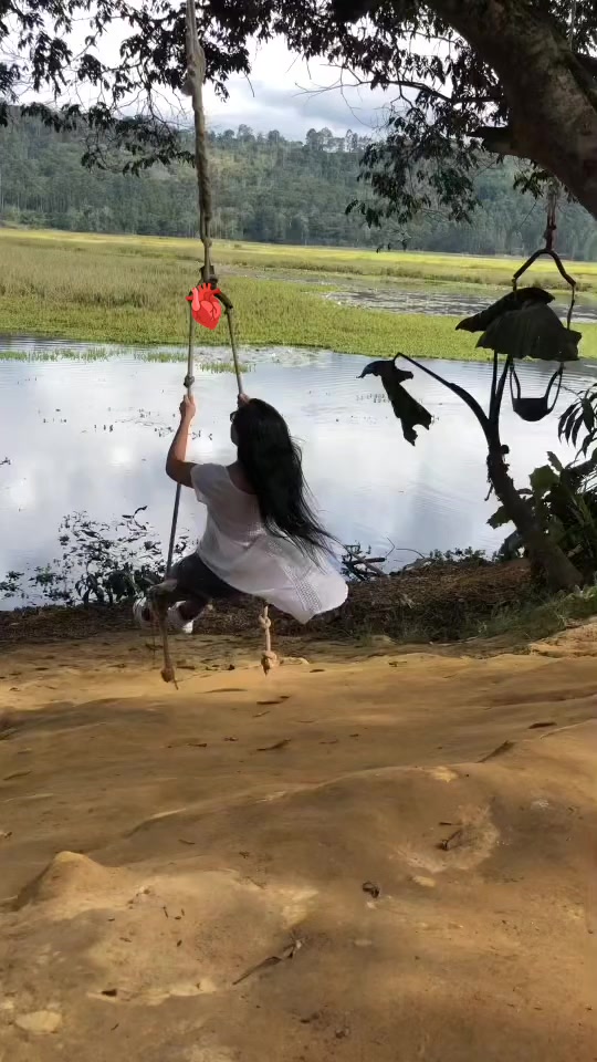 @🦋