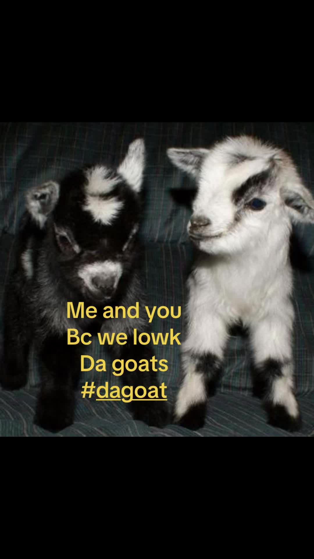 @!?