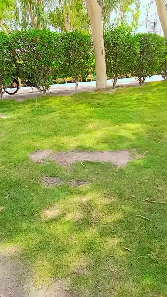 @Ramdaas