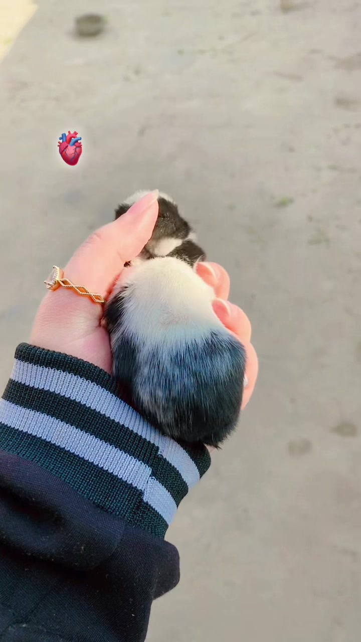 @🦋Bůțťęřfł&yen;&hellip;&bull;Ňůț🫶🏻🌿