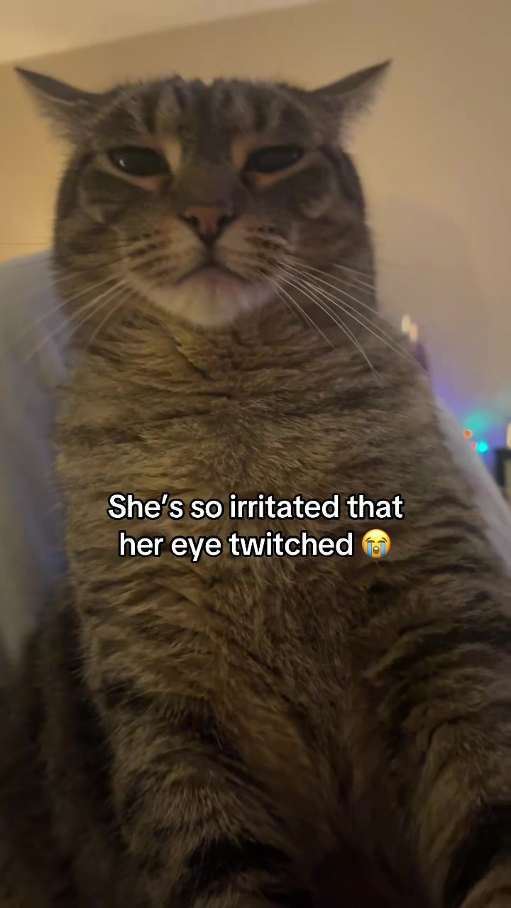 @McKynlee
