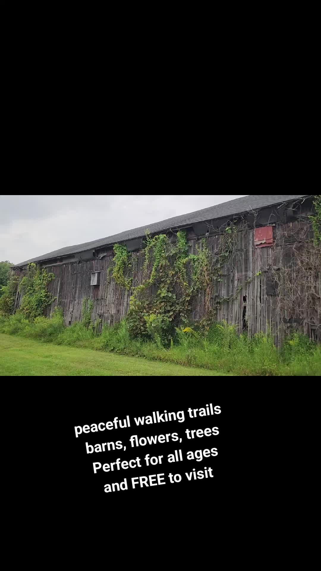 @MagsJ