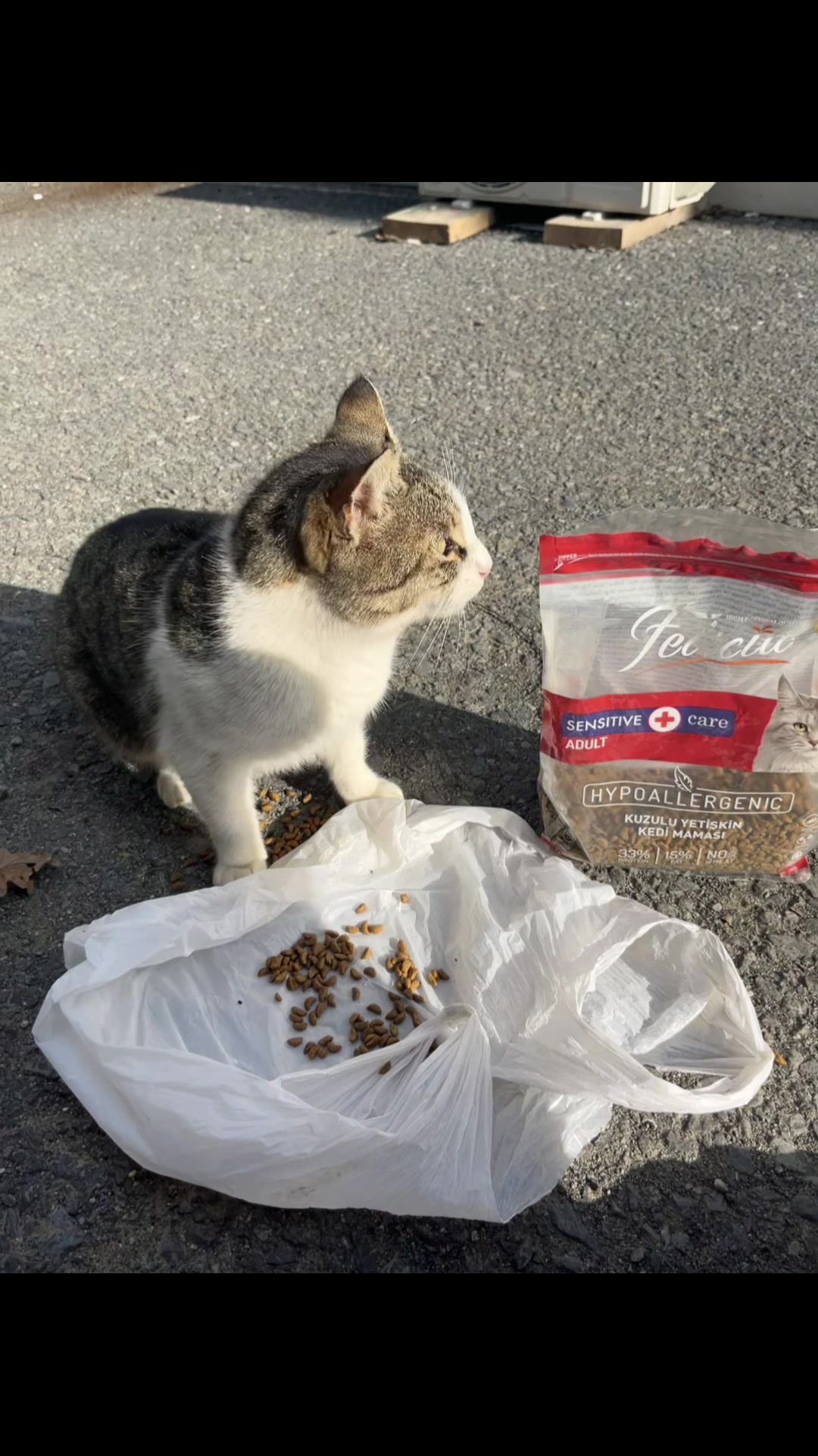 @Beytullah_şal
