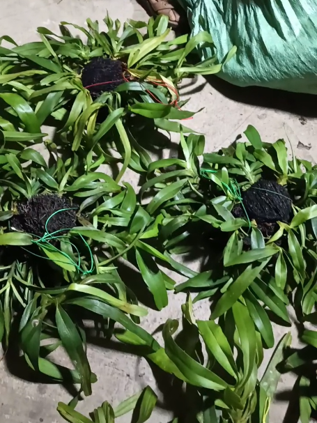 @Nguyễn Thị Hải Yến
