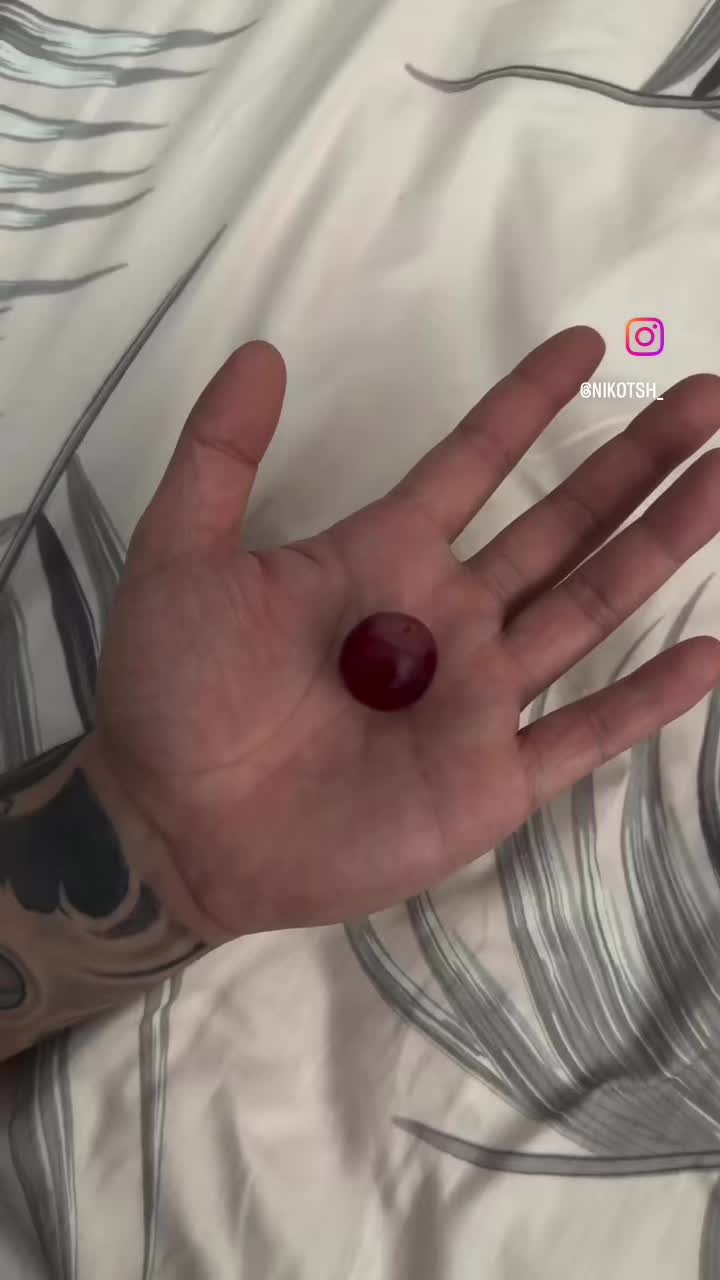 @koko 🧸