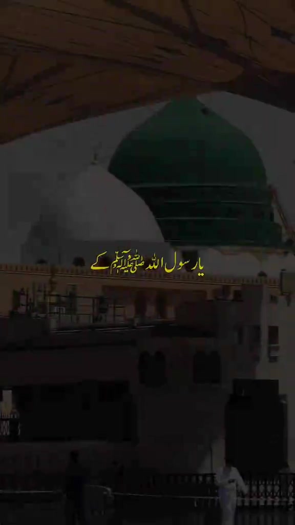 @inzamam jani