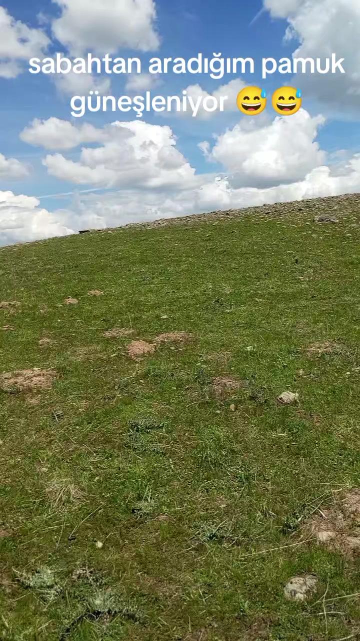 @Ali Aydemir
