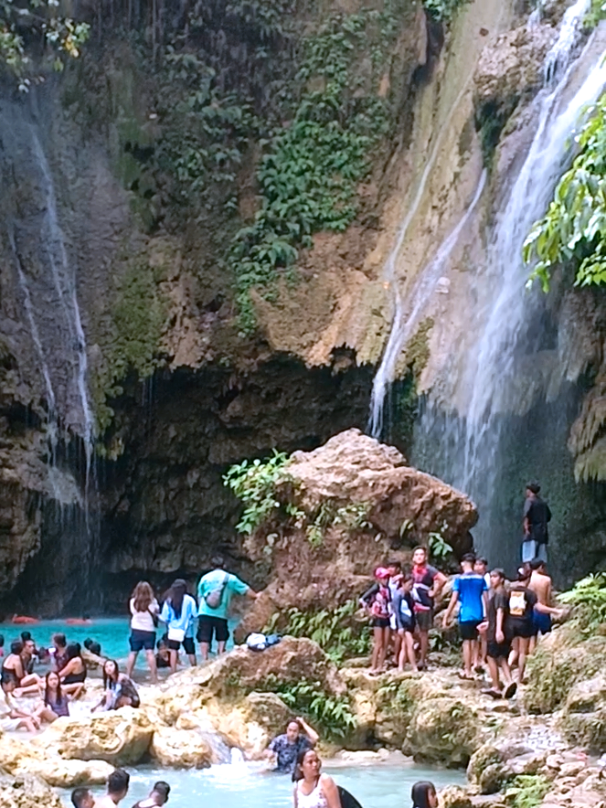 @dexx aquatics
