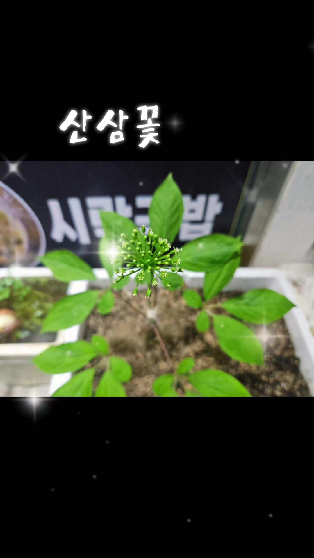 @๐ฆ๋ง๋๋ฆฌ๋ค๐ฆ