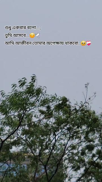 @Nabil