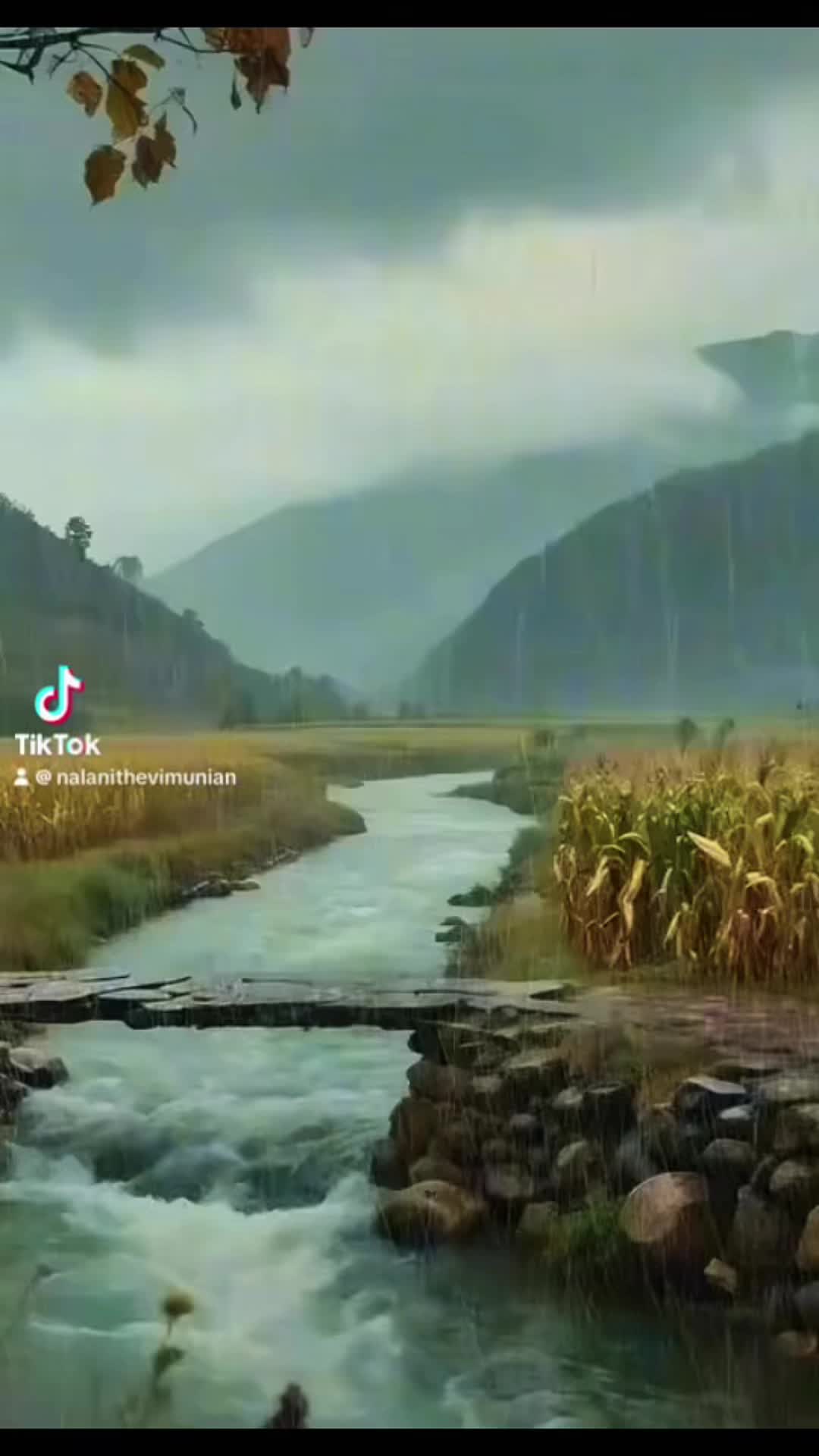 @Nalani Thevi Muniandy