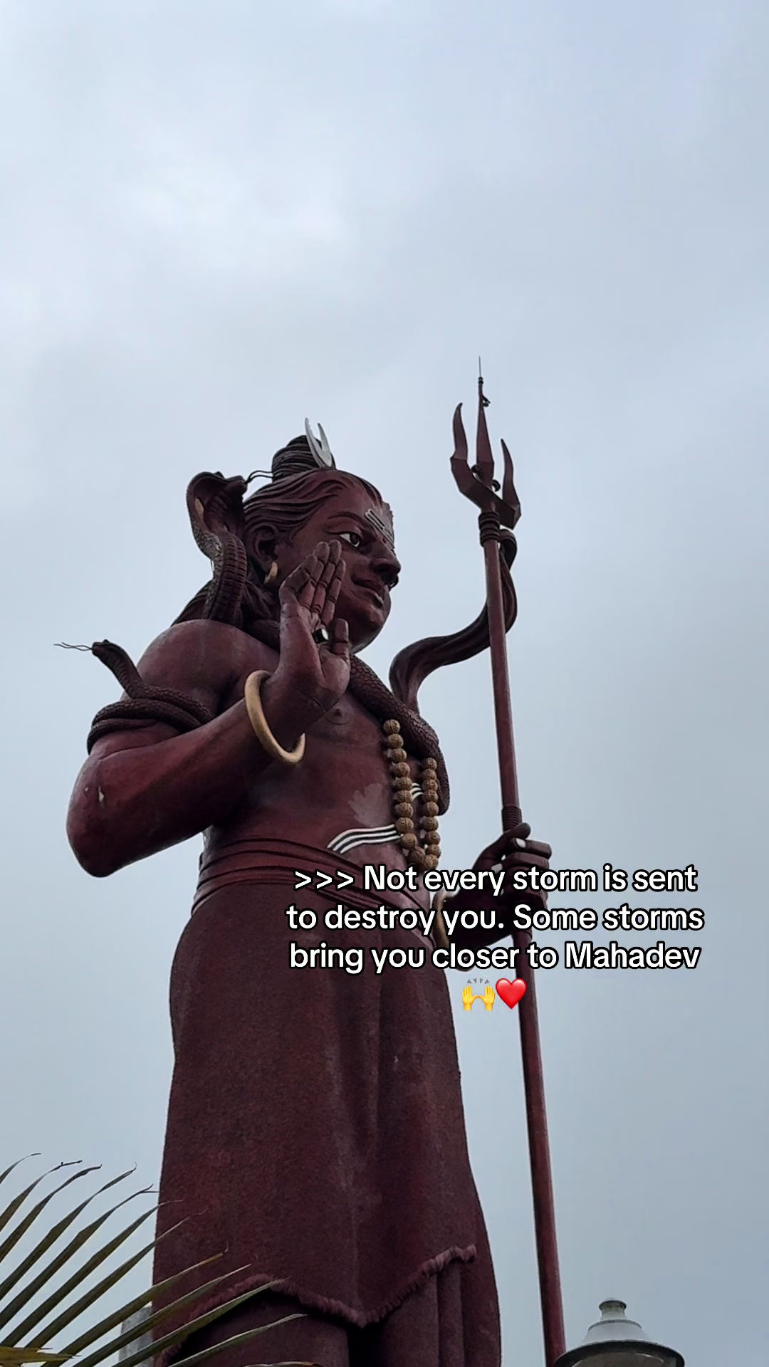 @Esha👑