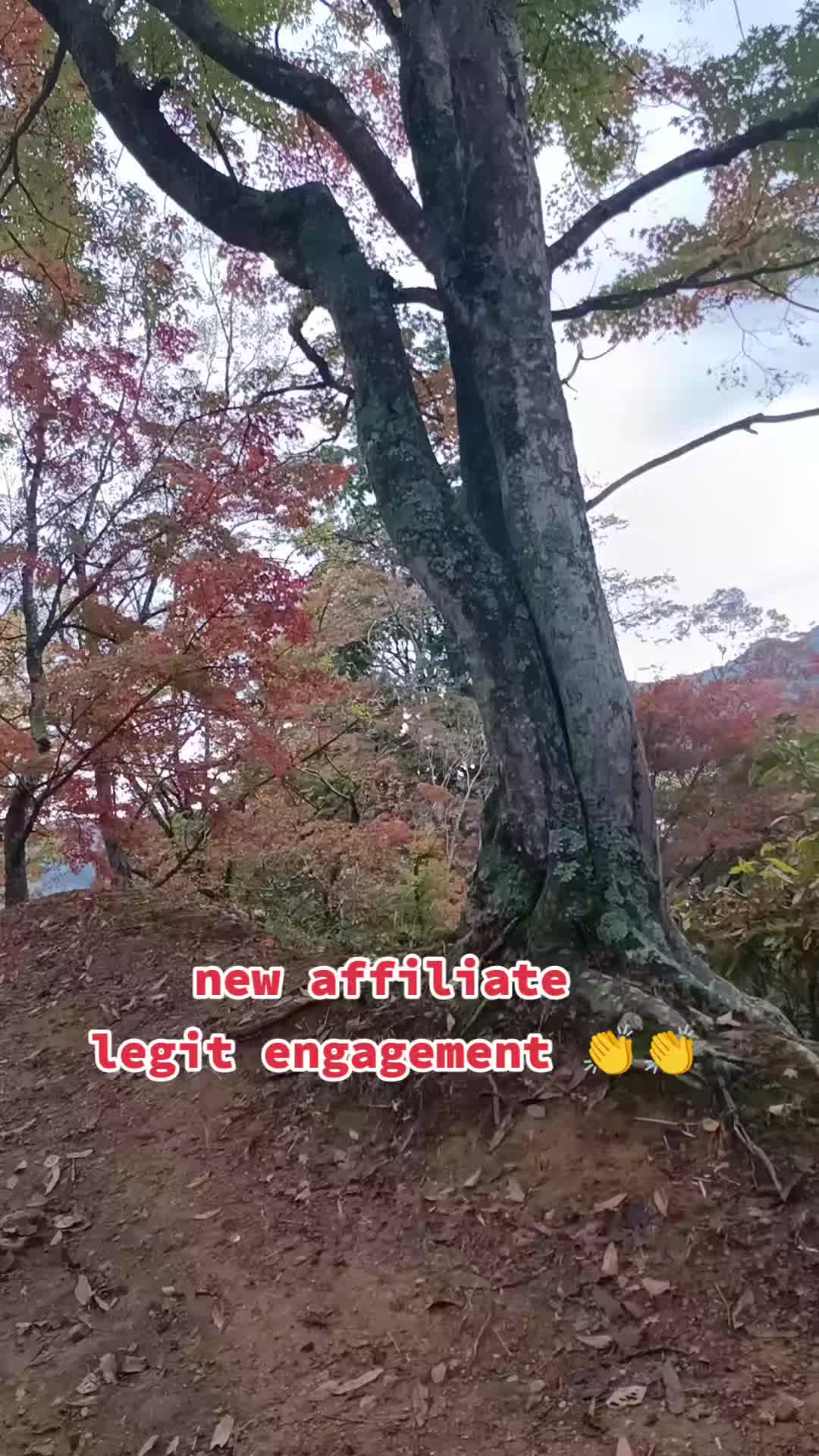 @Julie An