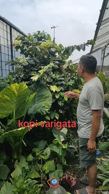 @ace ilham florist