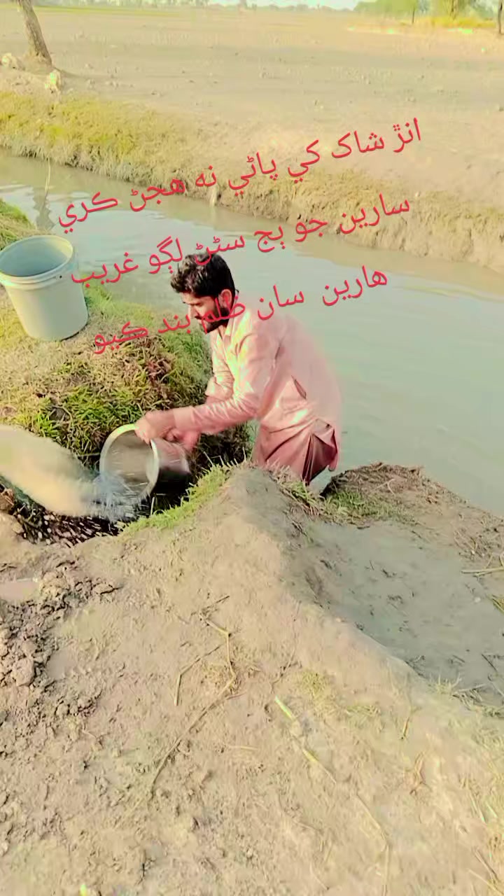 @ZK 💫✔️ BaLoCh
