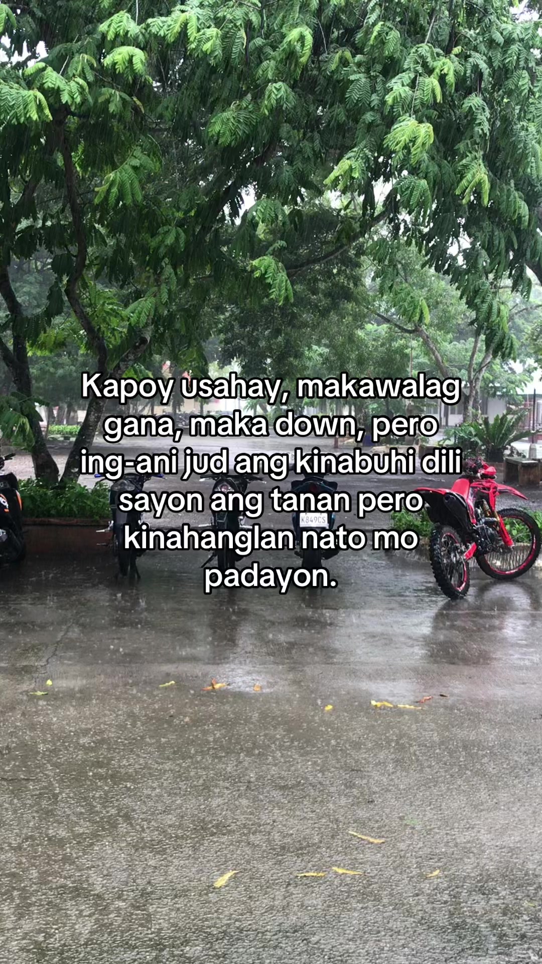 @Dinasure🤪