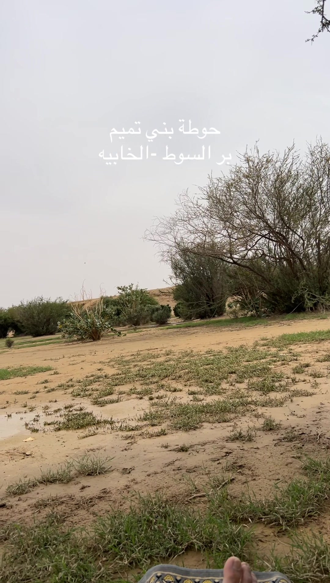 @عبدالله التميمي
