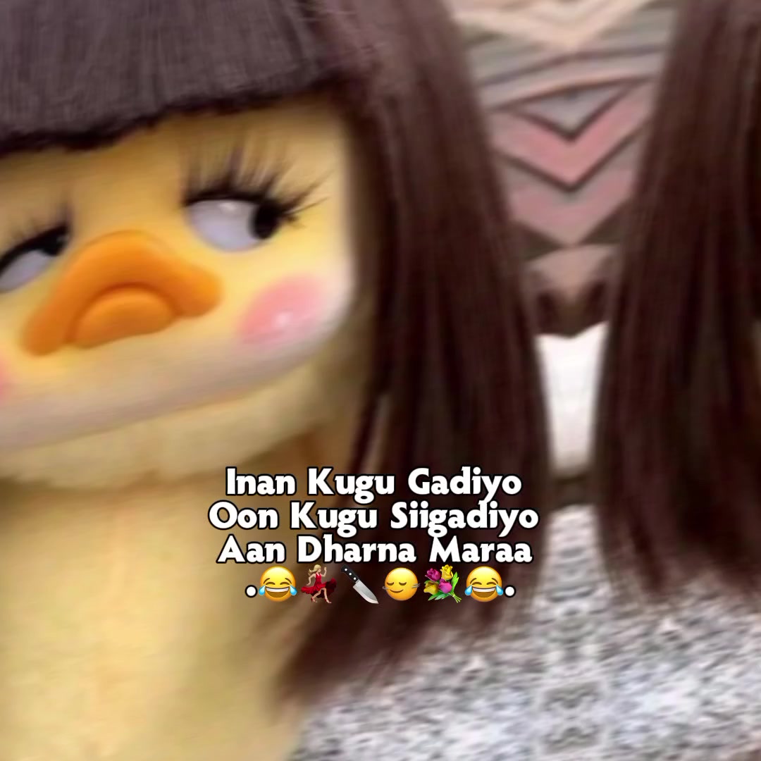 @๐๐ถ๐๐๐น๐๐ท๐๐๐๐ซด๐ป