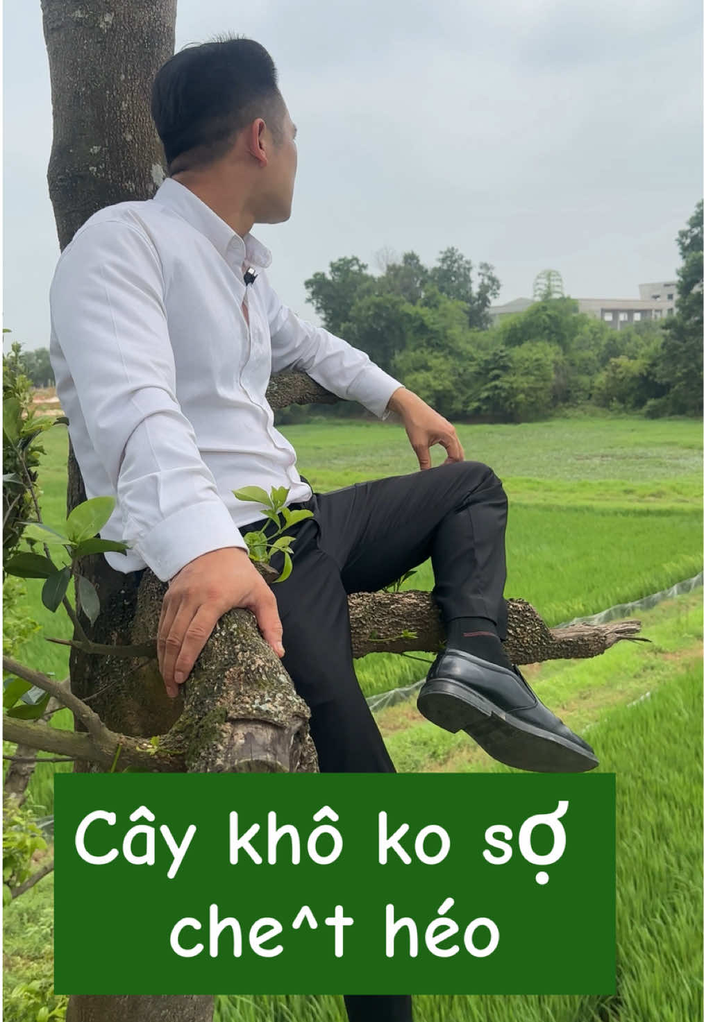 @Thiện BĐS Ho&agrave; Lạc
