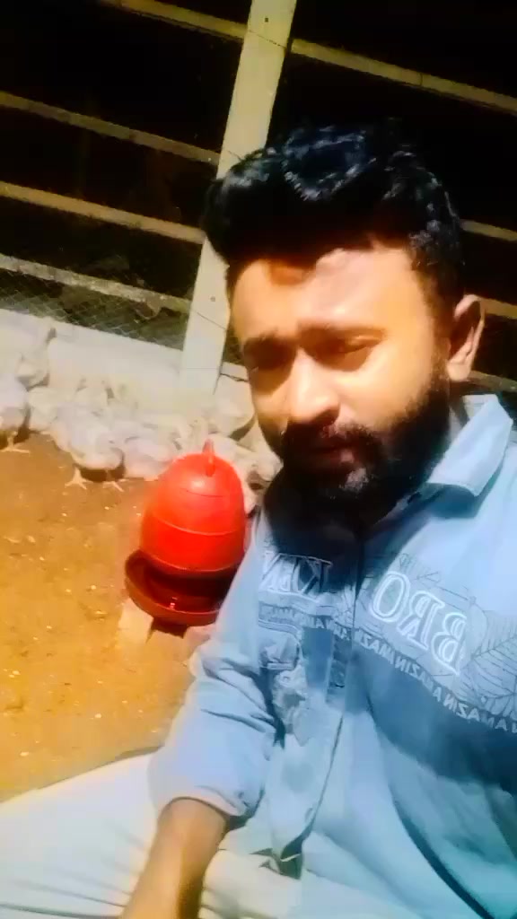 @md sojib ahmed55560
