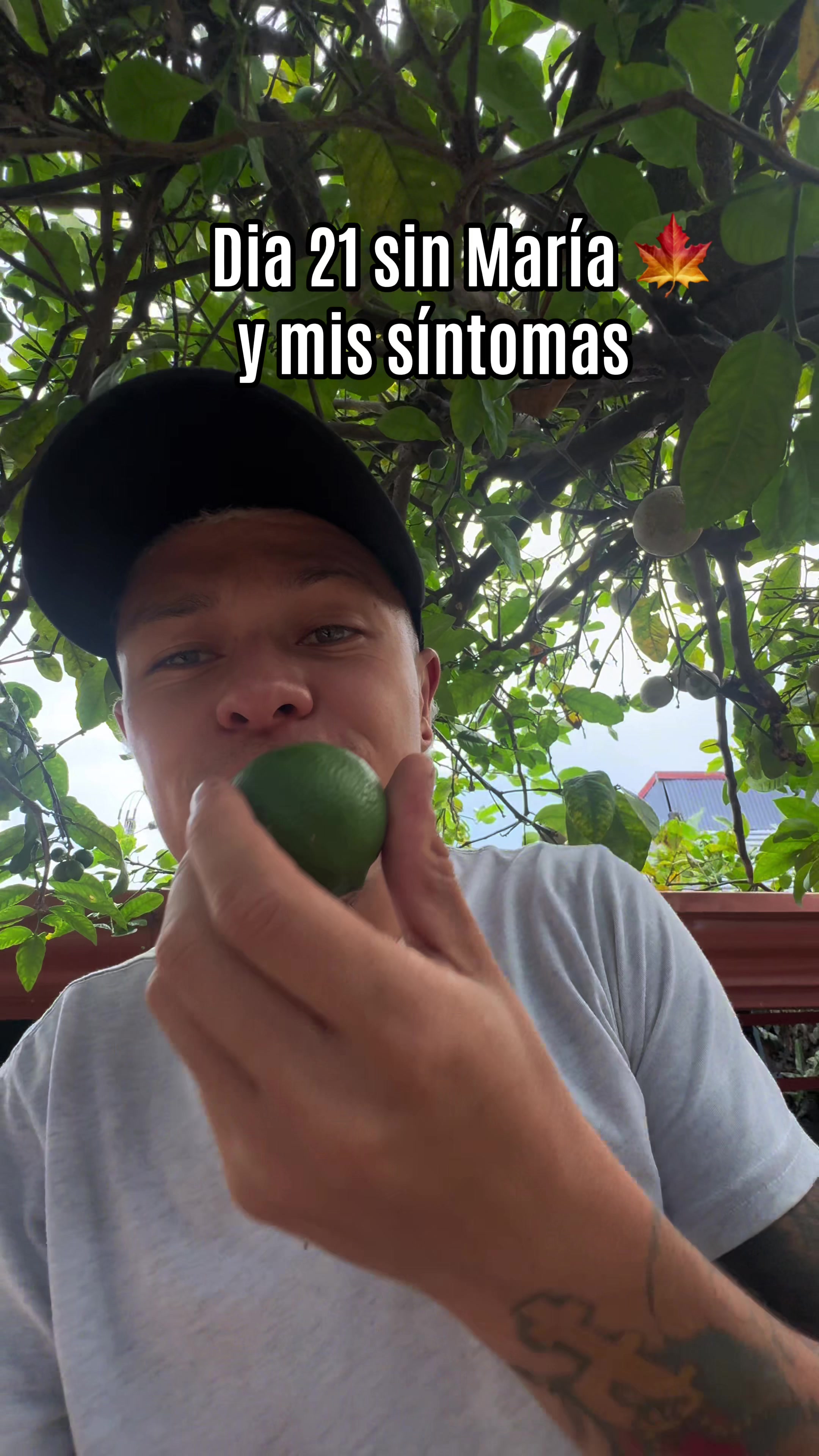 @El ParceTico!
