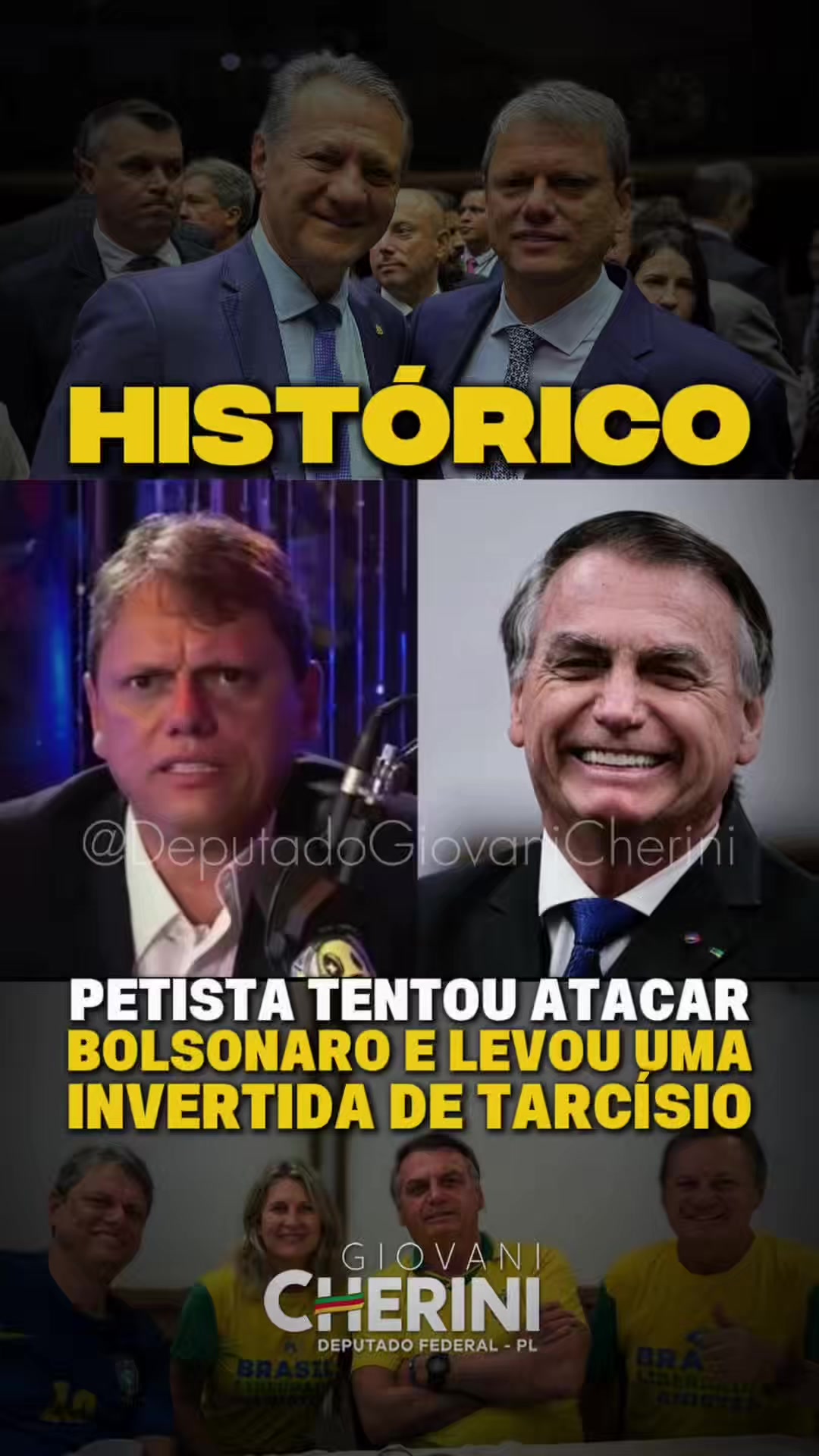 @deputadogiovanicherini