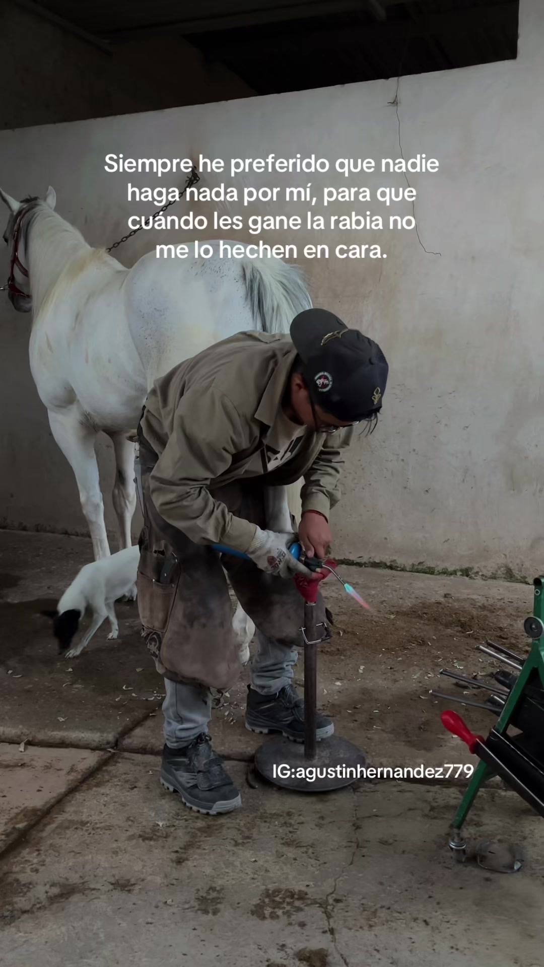 @Agus🩺🐎
