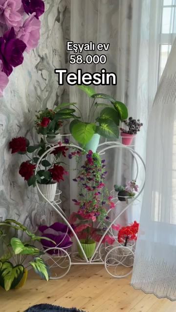 @vasif zeynalov