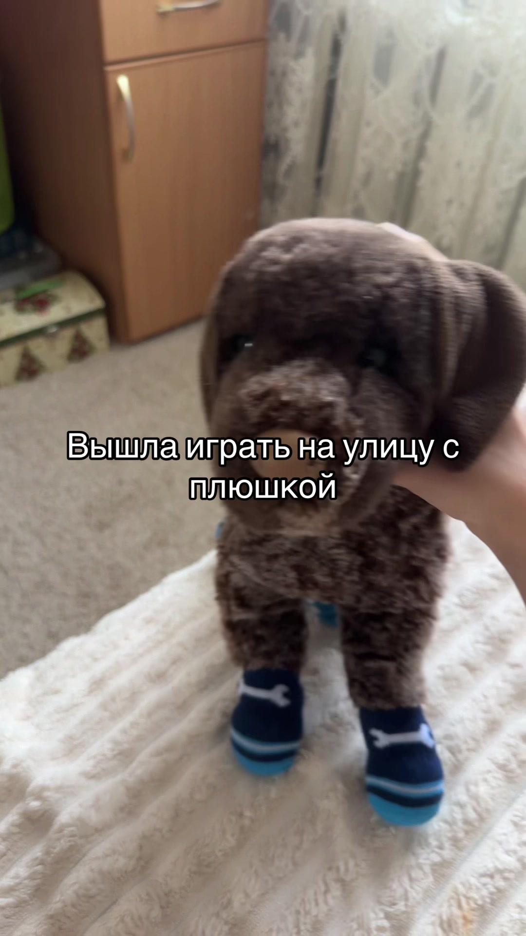 @˚₊‧꒰ა⸰𝙼𝚎𝚕𝚞𝚛𝚒˚໒꒱ ‧₊˚ ┆ᴘᴅʙ