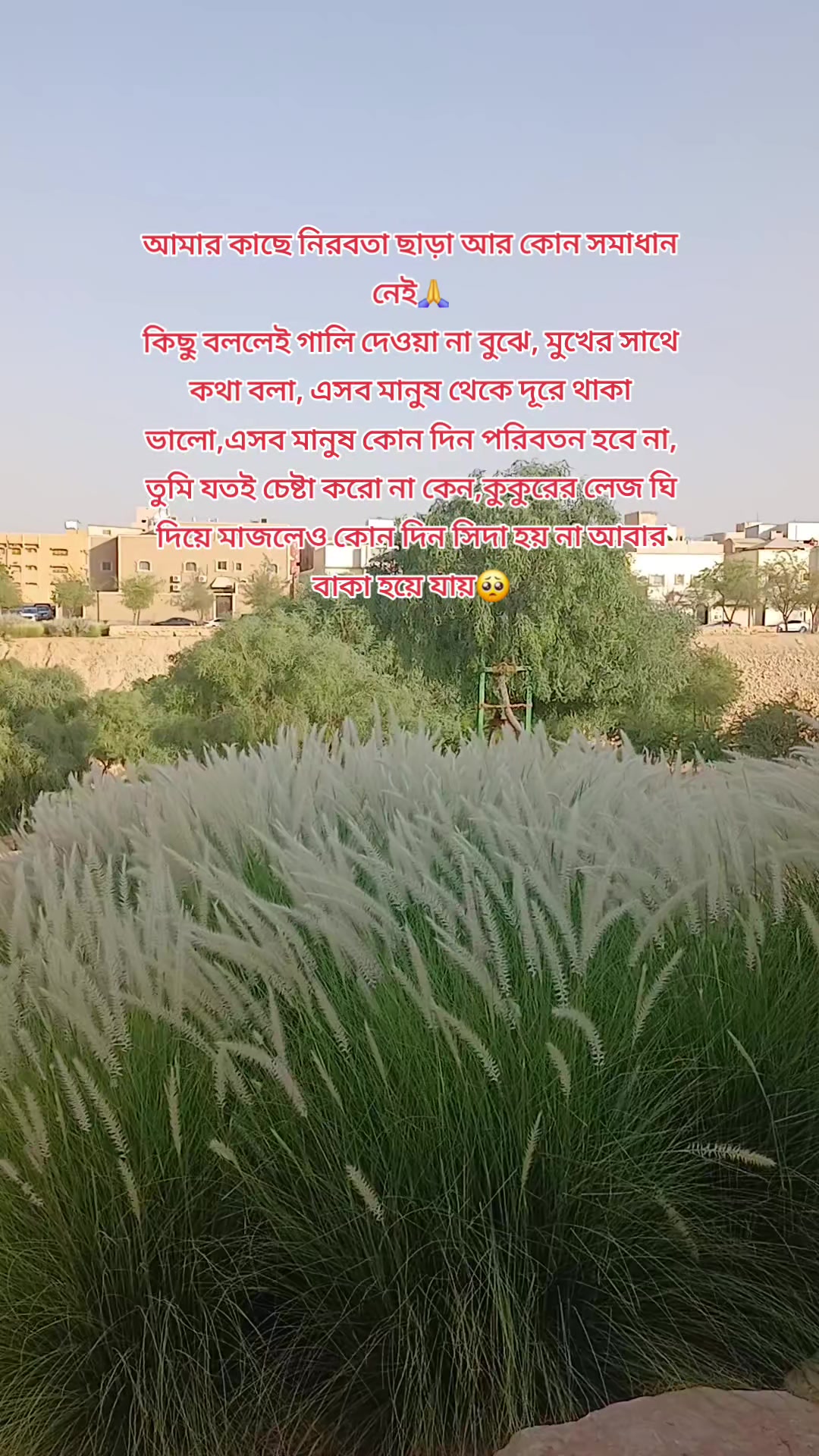@Jowel Rana Bhuiyanđ¸đĻ
