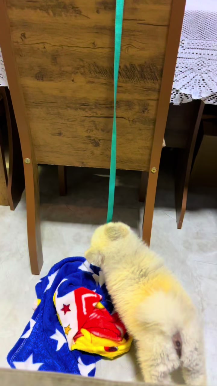 @Duck