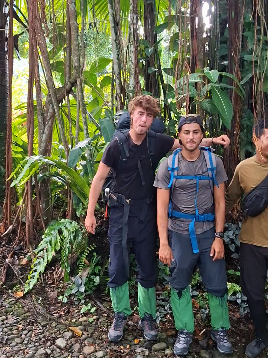 @Sumatra Ketambe Jungle Tours