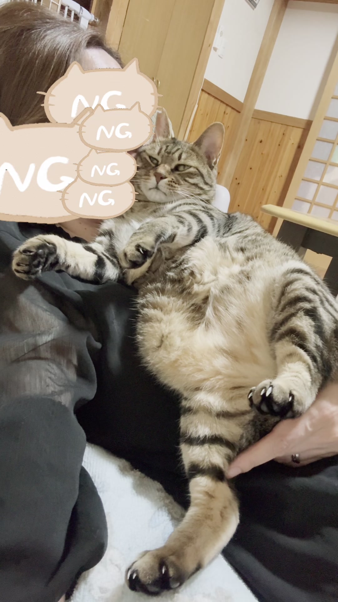 @ねこぷにもふ|ホワイトシェパードのハクちゃん