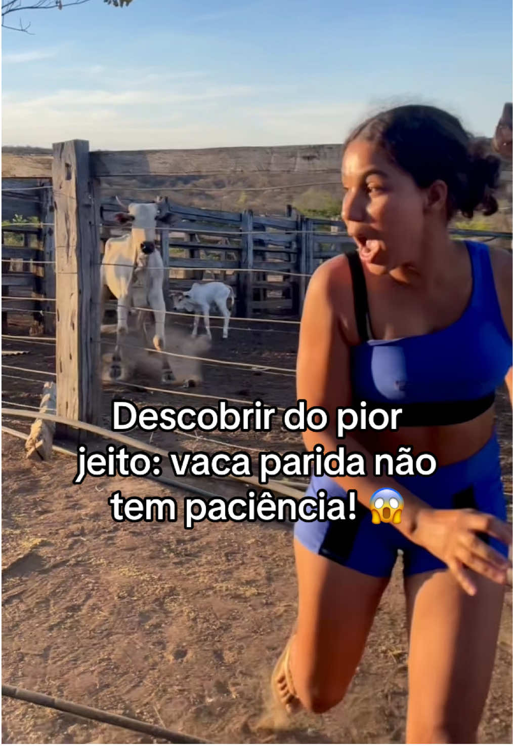@monicadejatoba