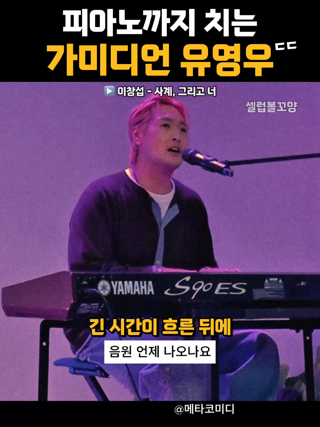 @셀럽볼꼬양
