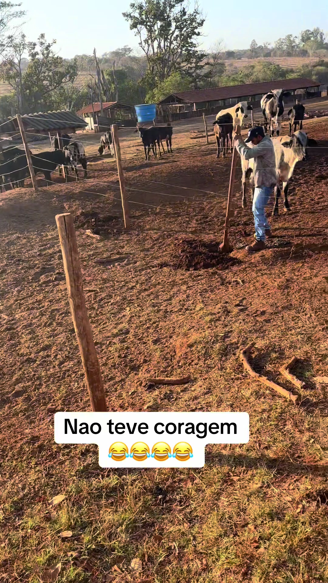 @R&eacute;gis Oliveira
