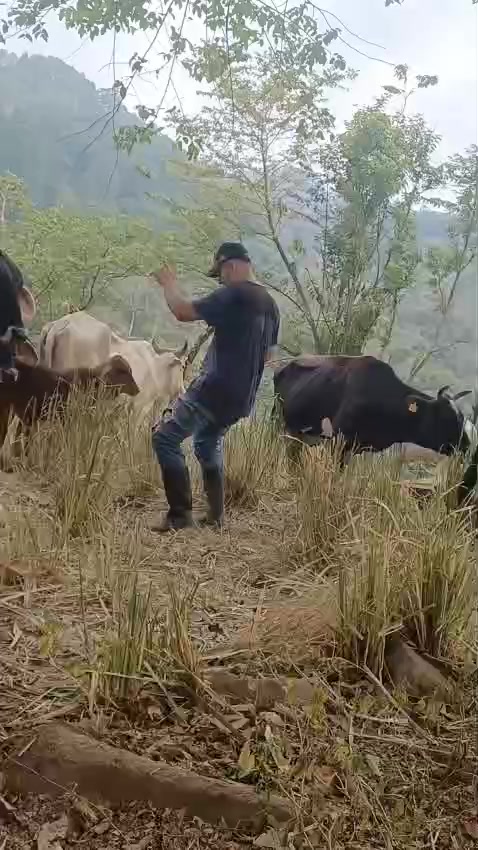 @Fernando Pineda