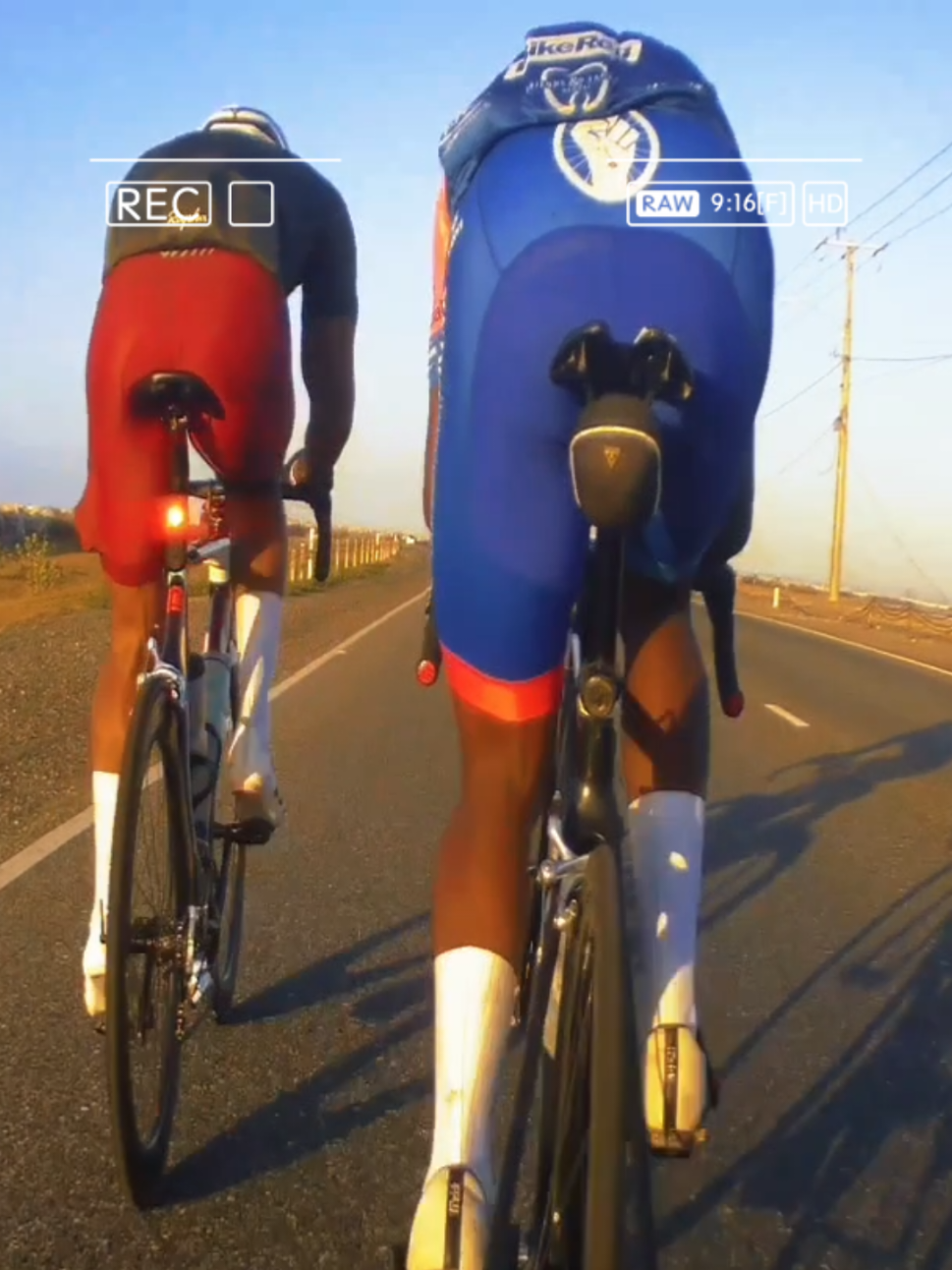 @pedalpulse