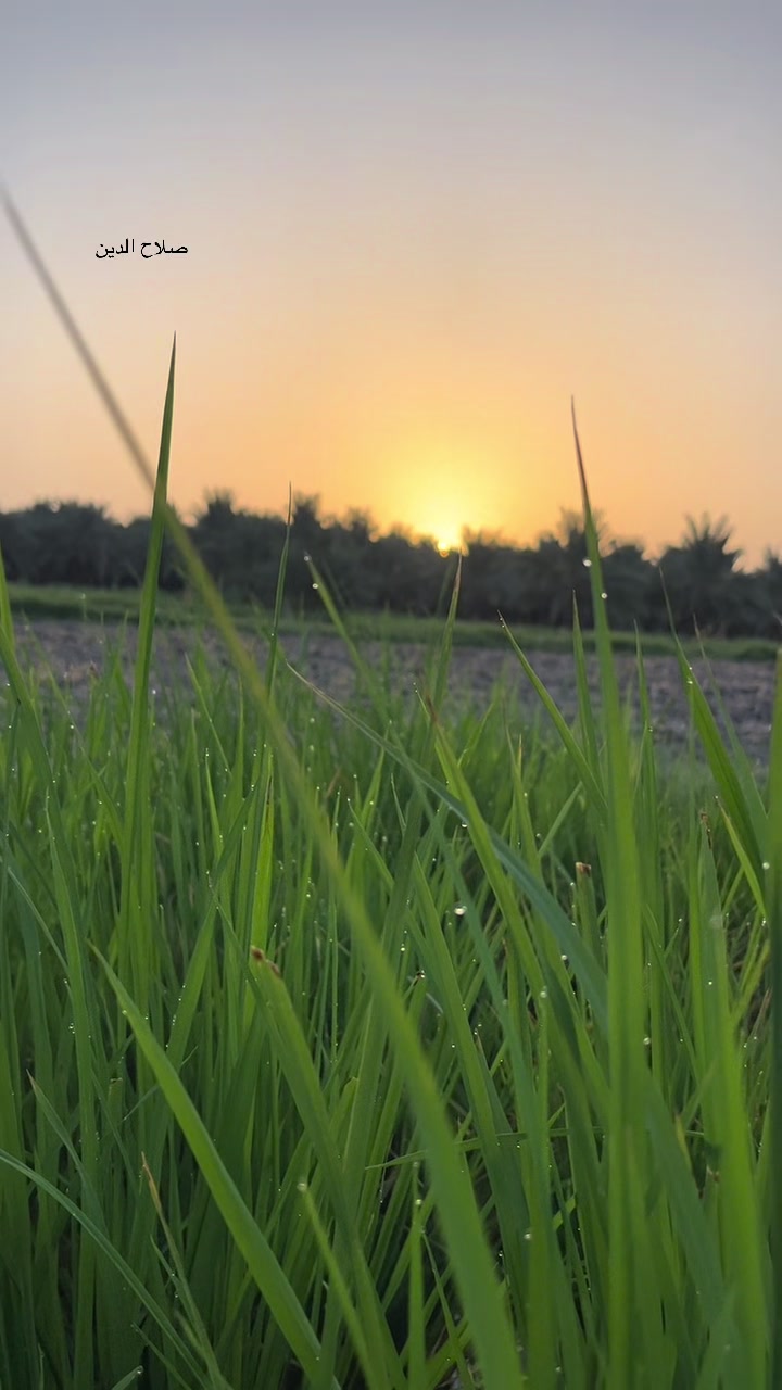 @گمنام ✍️
