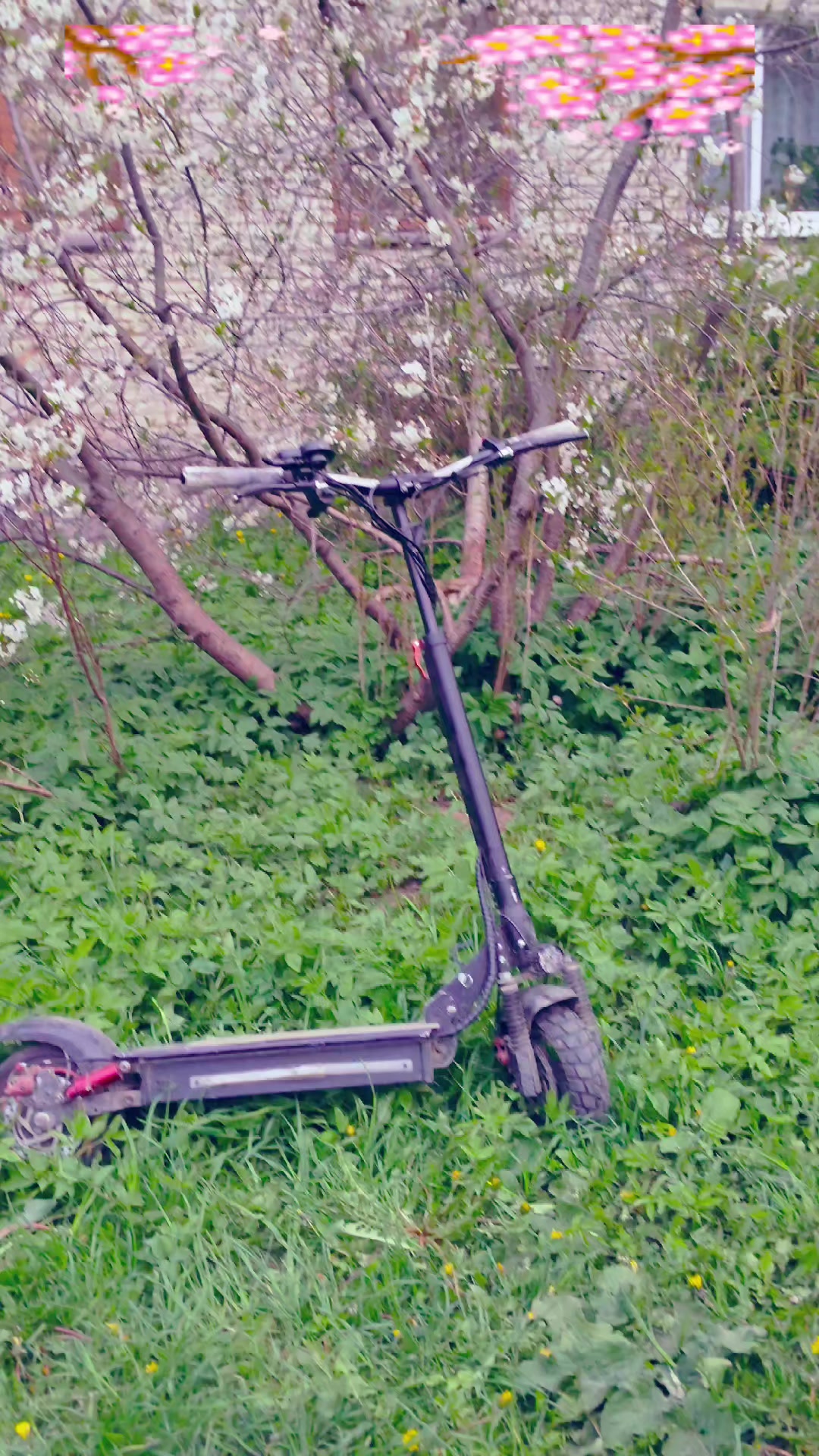 @ˢˡᵃ¹ᶻʸʸ