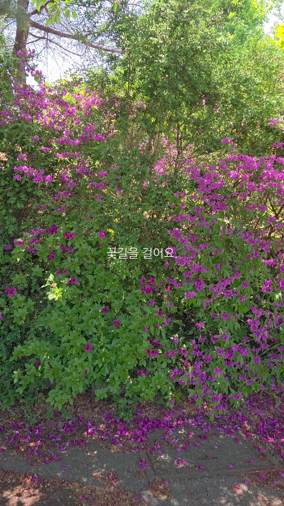 @성찬조