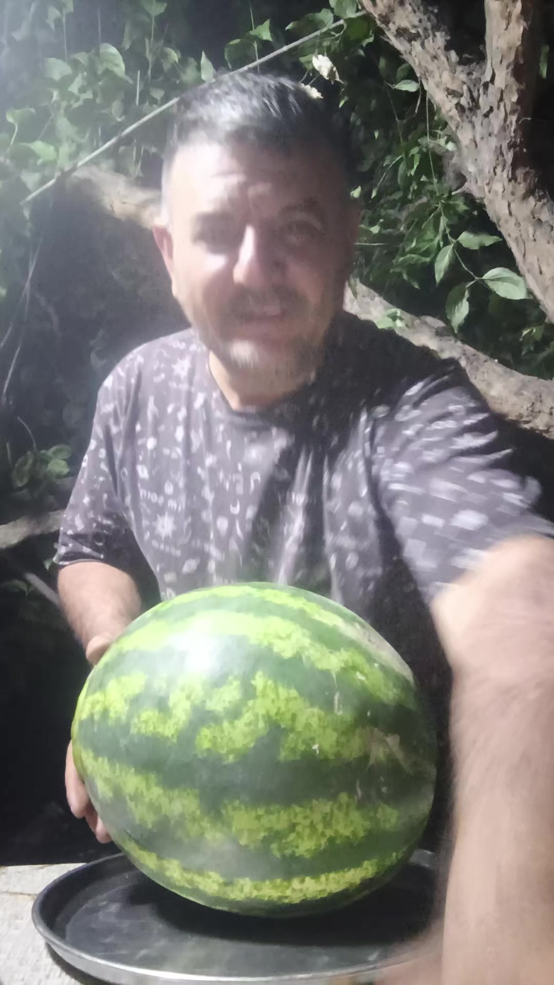 @lüt_Eşqin