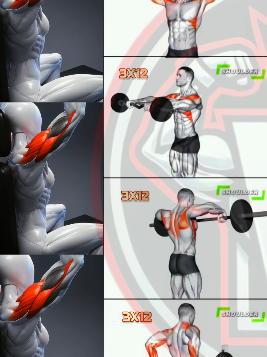 @Workout