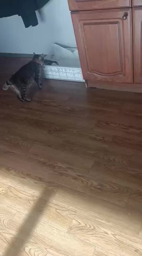 @мать дракона 🐉 ❤