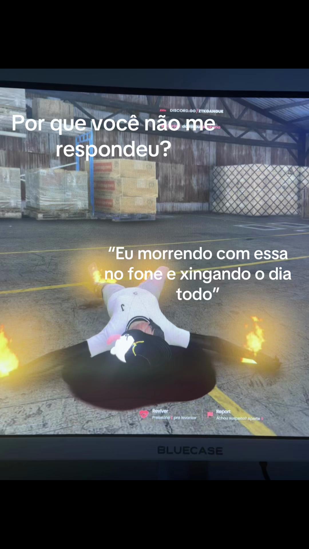 @Gz6Rp🐝